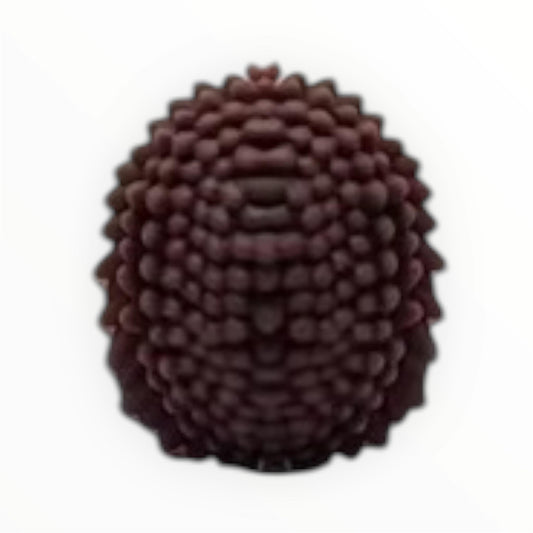 3D Motivperle Igel in 4 Farben