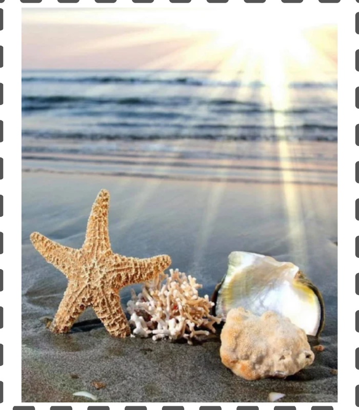 Diamond Painting Muscheln am Strand eckig 30x40cm