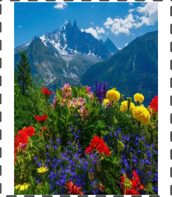 Diamond Painting Berge mit Blumenwiese eckig 30x40cm