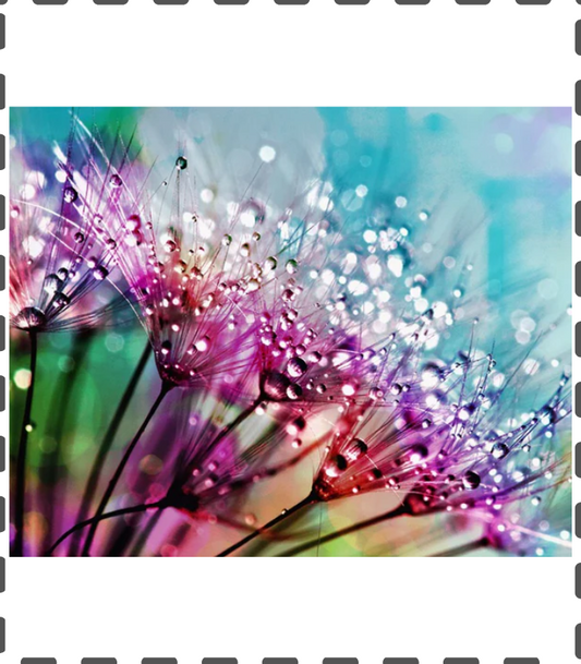 Diamond Painting Pusteblume im Wasser 35x40cm eckig