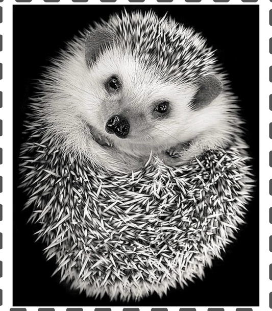 Diamond Painting Igel eckig 30x40cm