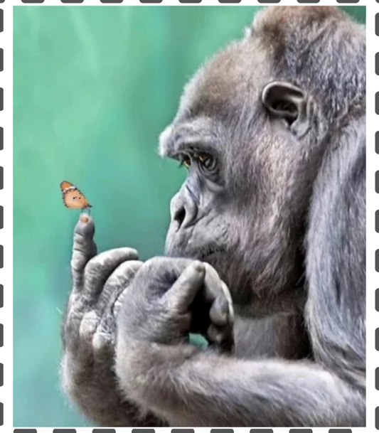 Diamond Painting Gorilla mit Schmetterling 30x40cm eckig