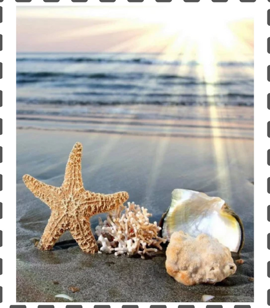 Diamond Painting Muscheln am Strand eckig 30x40cm