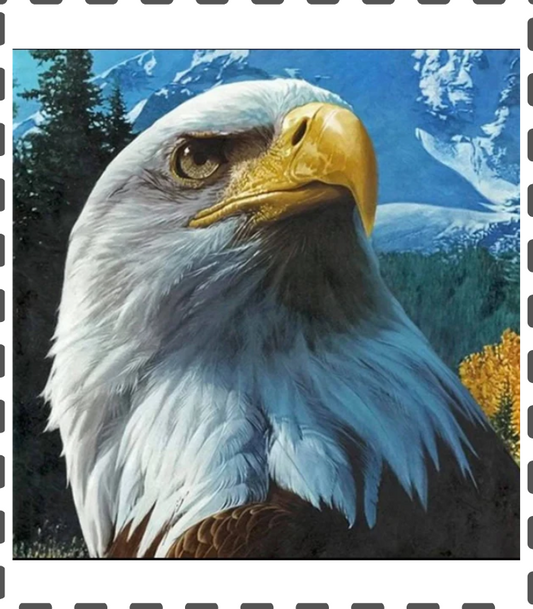 Diamond Painting Adler eckig 35x35cm